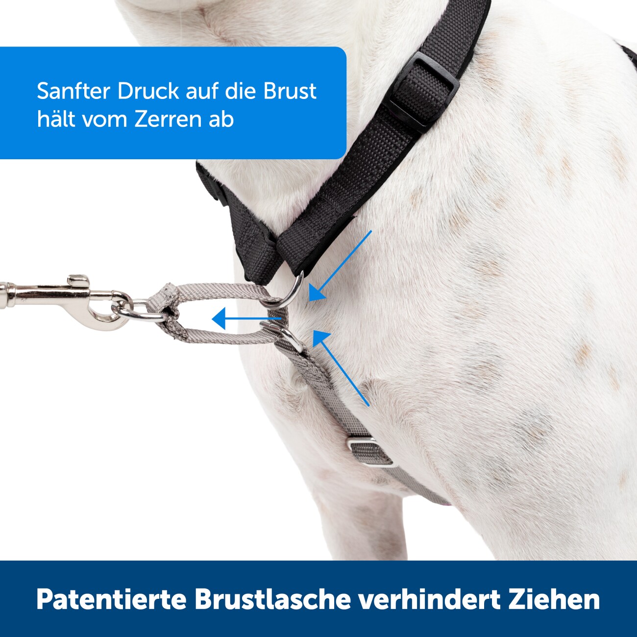 PetSafe 3-in-1-Geschirr und Rückhaltegurt M