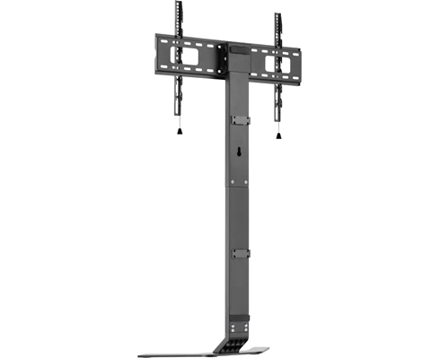 Andersson FRS 2.1