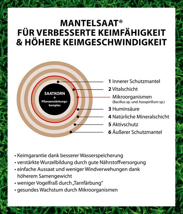Dehner Bio Rasen-Nachsaat, 500 g
