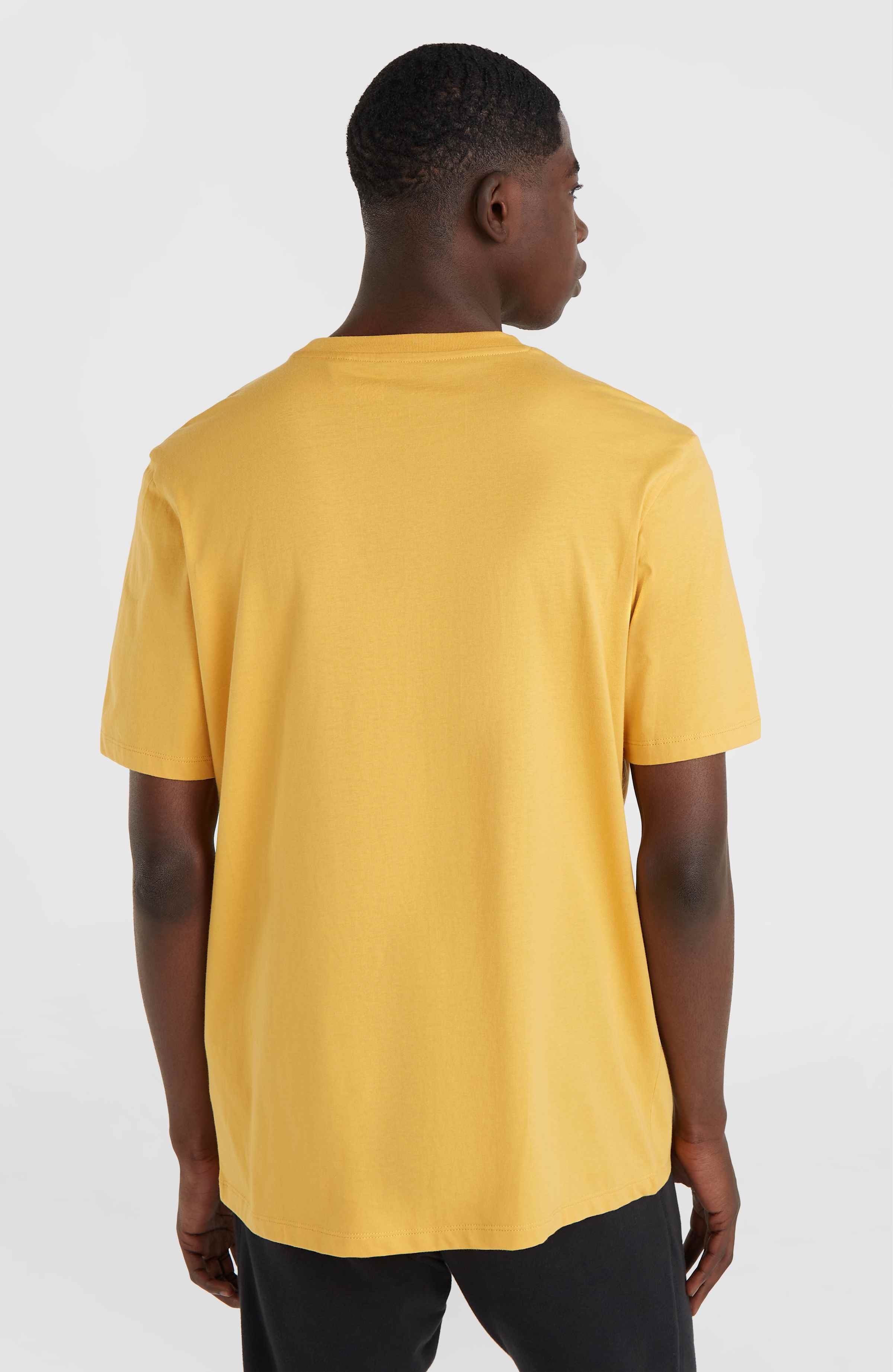 Small Logo T-shirt O`Neill Goud