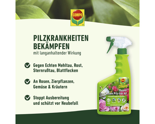 Rozenfungicide COMPO Duaxo 750 ml Gebruiksklare pompspray