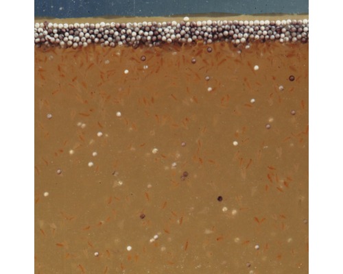 Artemia-eieren JBL ArtemioPur 40 ml