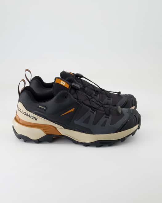 Salomon X Ultra 360 GTX Sportschuhe in Grau