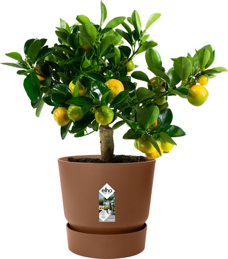 Elho bloempot Greenville bruin D 39 H 36,8 cm
