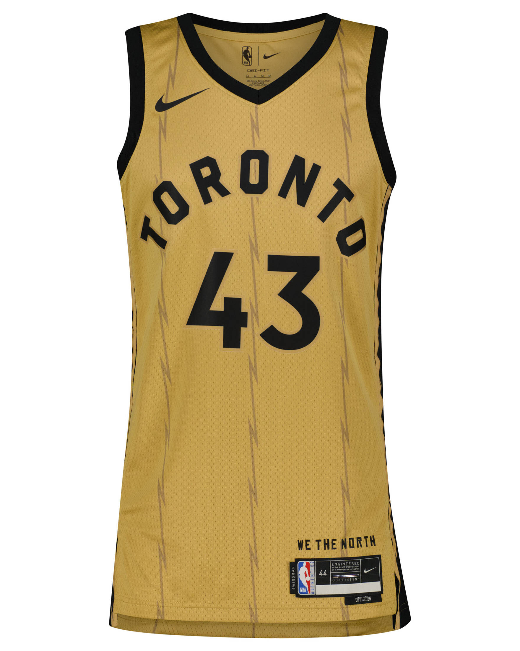 Nike| Herren Basketballtrikot NBA PASCAL SIAKAM TORONTO RAPTORS CITY EDITION