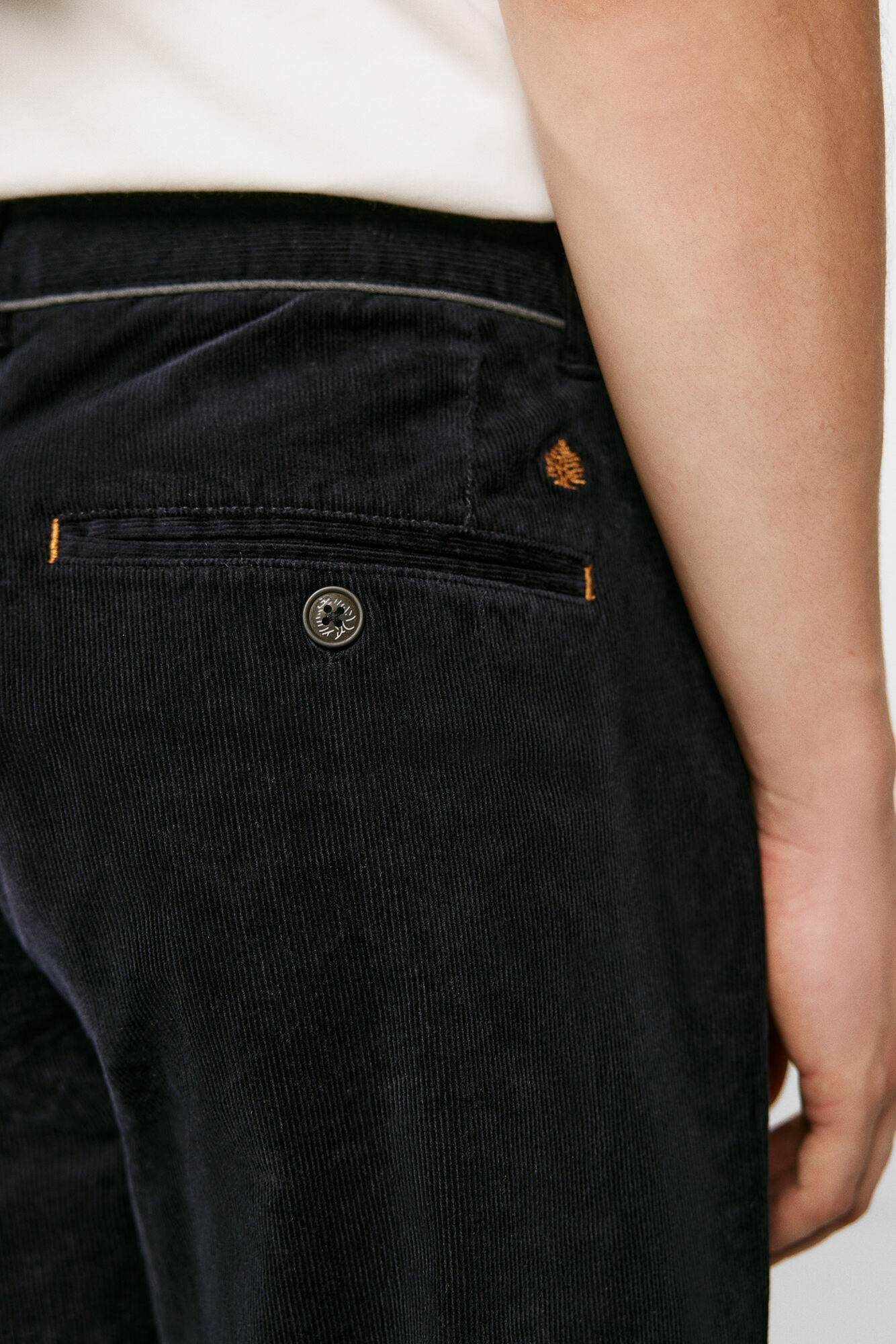 Chino micro veludo cotelê