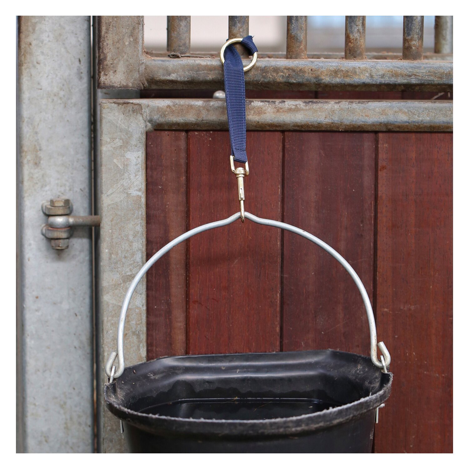 KENTUCKY Nylon Halter Hook & Ring  - navy