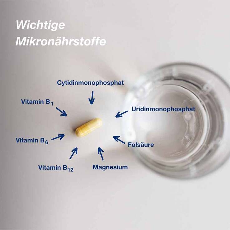 Orthomol neuro Kapseln, 90 St