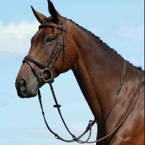 Stovia martingale simples e plana para cavalos, marrom