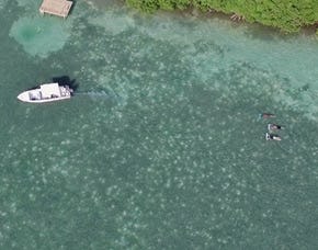 Subwing in Poikam – fliegen unter Wasser |mydays