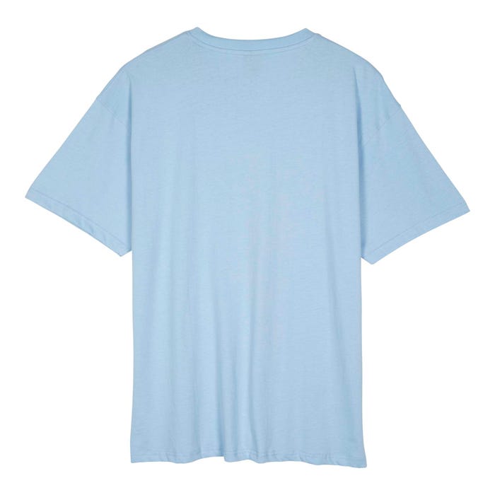 Shake Junt Roskopp Voodoo Room T-Shirt Fresh Blue