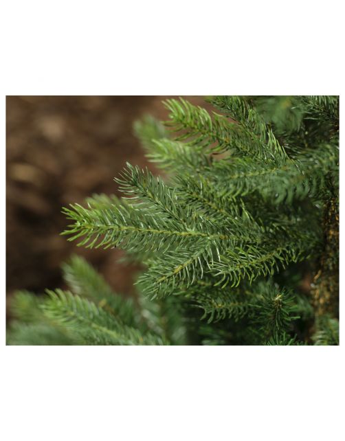 Everlands Kunstkerstboom Grandis Fir Groen - Kerstboom
