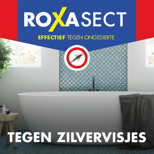 Roxasect Spuitbus Tegen Zilvervisjes 400ML