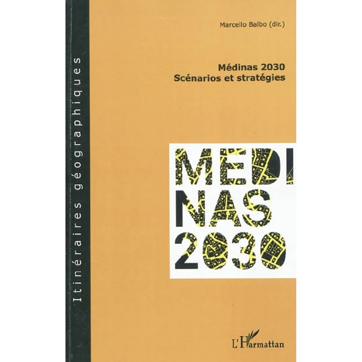 Médinas 2030 : scénarios et stratégies · Occasion