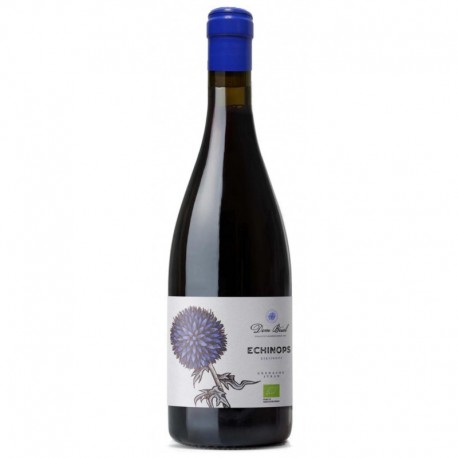 Dom Brial - Echinops Rouge