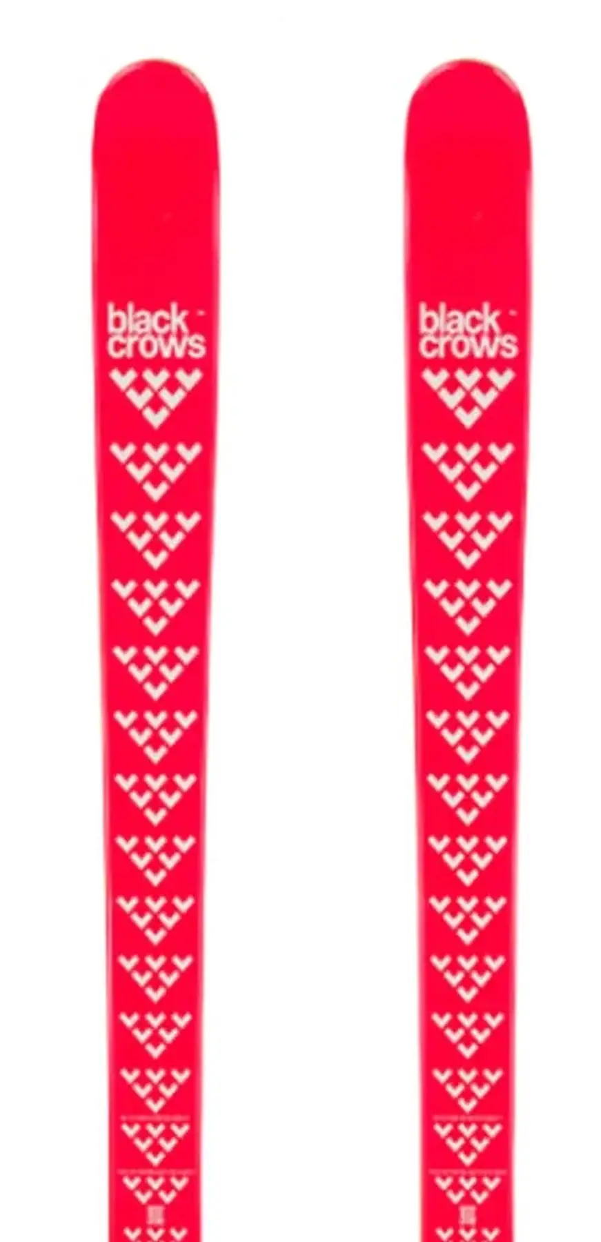 Black Crows Camox Juniorski | SkatePro