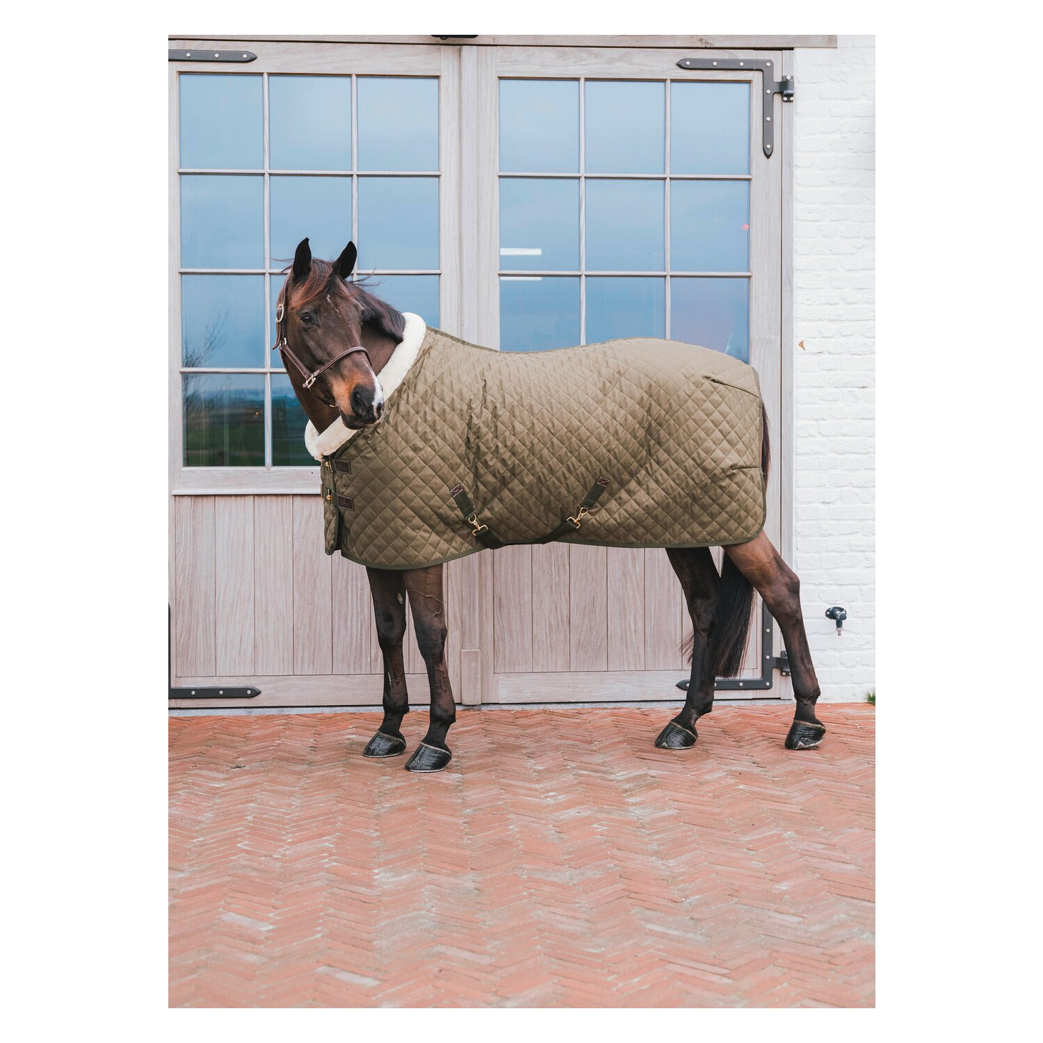 KENTUCKY Show Rug - khaki