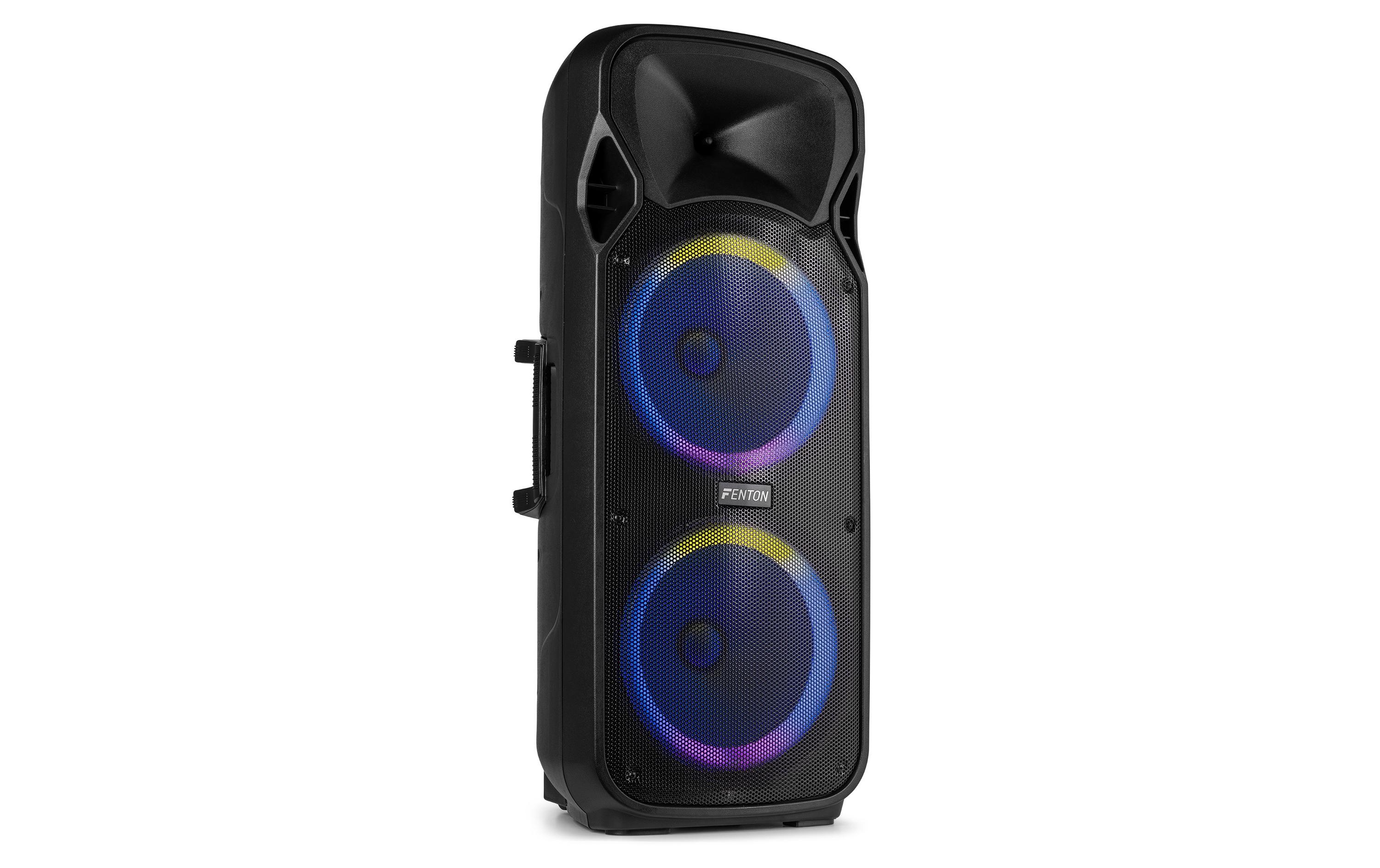 Lautsprecher FT212 lED MK2<br>Tragbarer PA-Lautsprecher mit LED