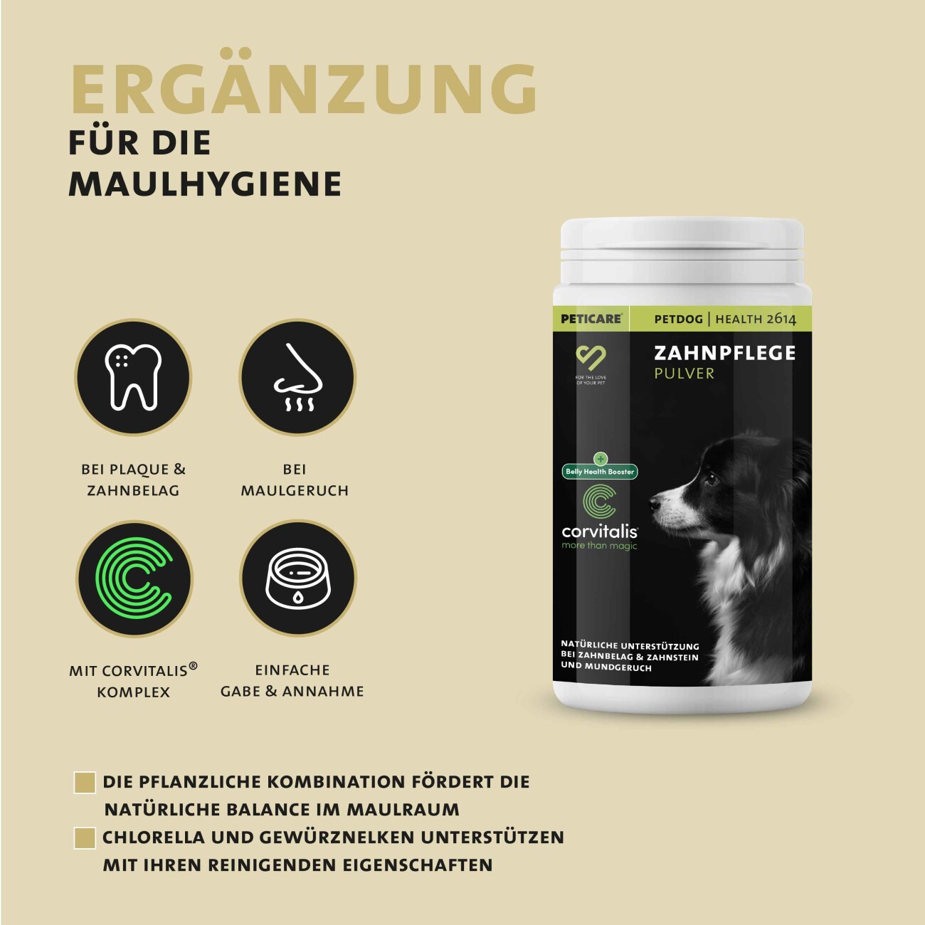 Peticare Ergänzungsfutter Zahnpflege Pulver für Hunde 125g