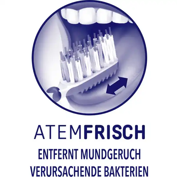 Atemfrisch Zahnbürste mittel