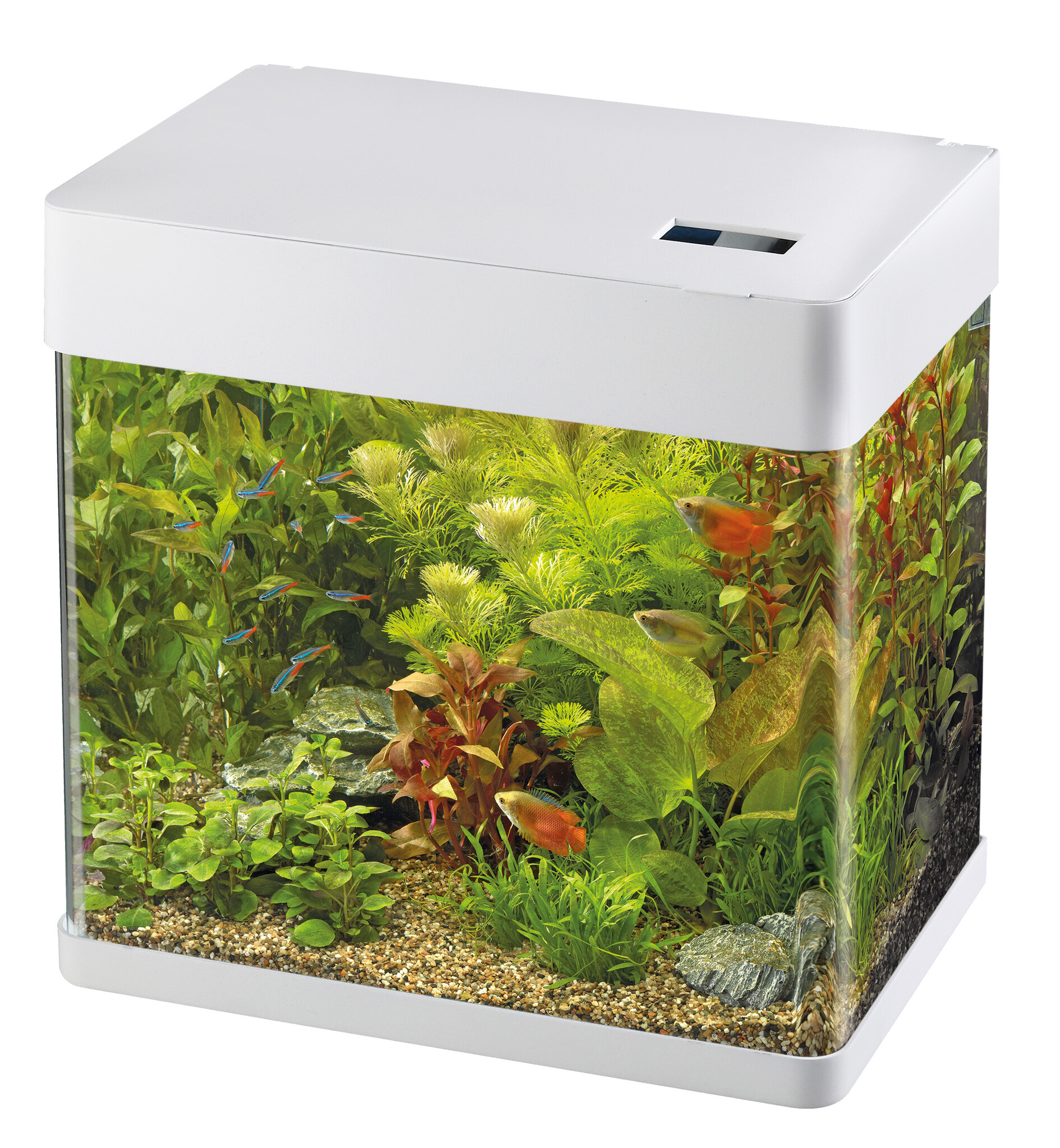 Superfish Panorama 20 LED | Compleet panoramisch aquarium