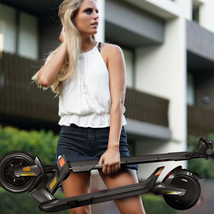 Trottinette Électrique Dualtron Dolphin - Citadine (2024)