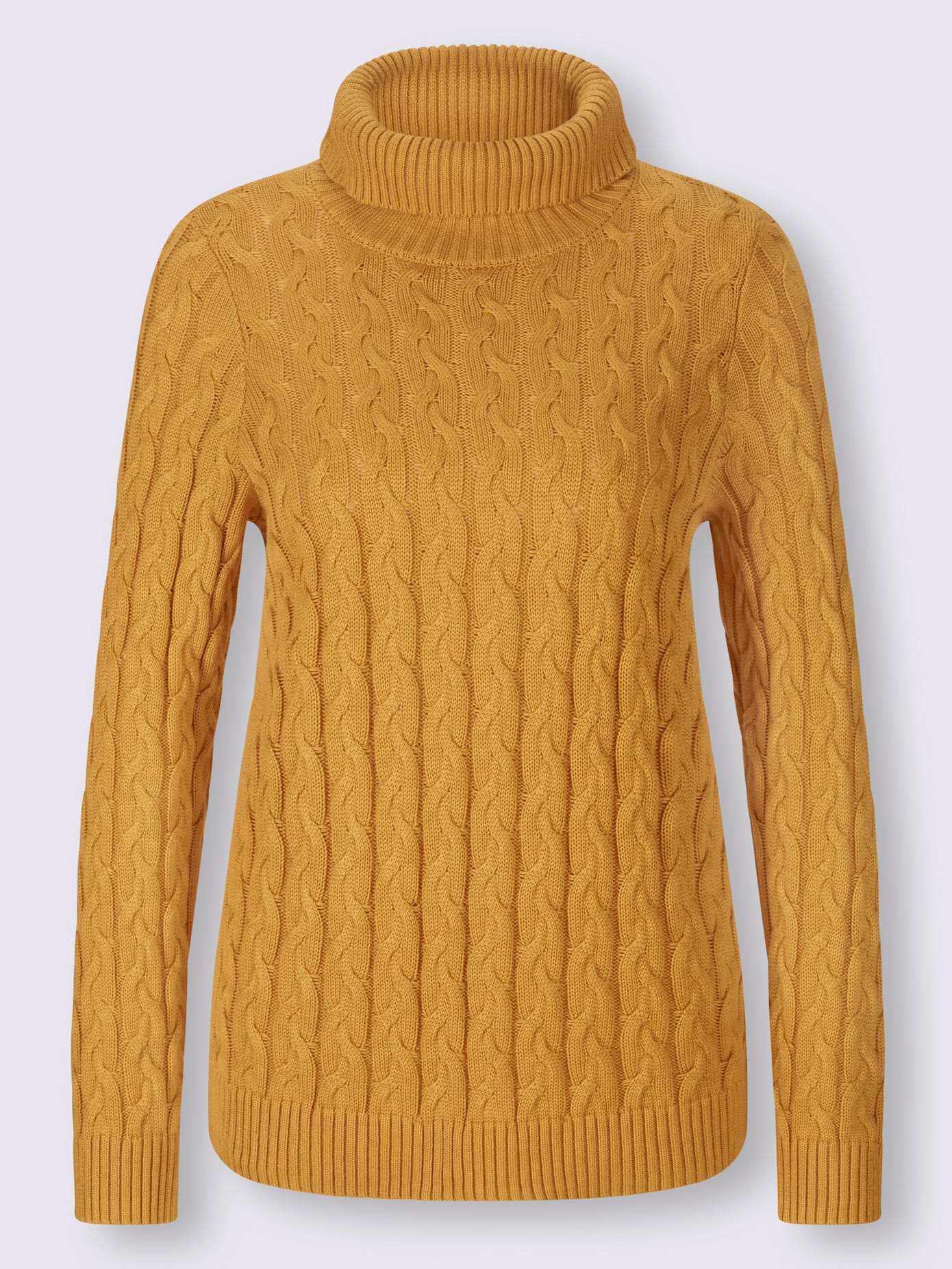 Pull col roulé motif torsadé classique