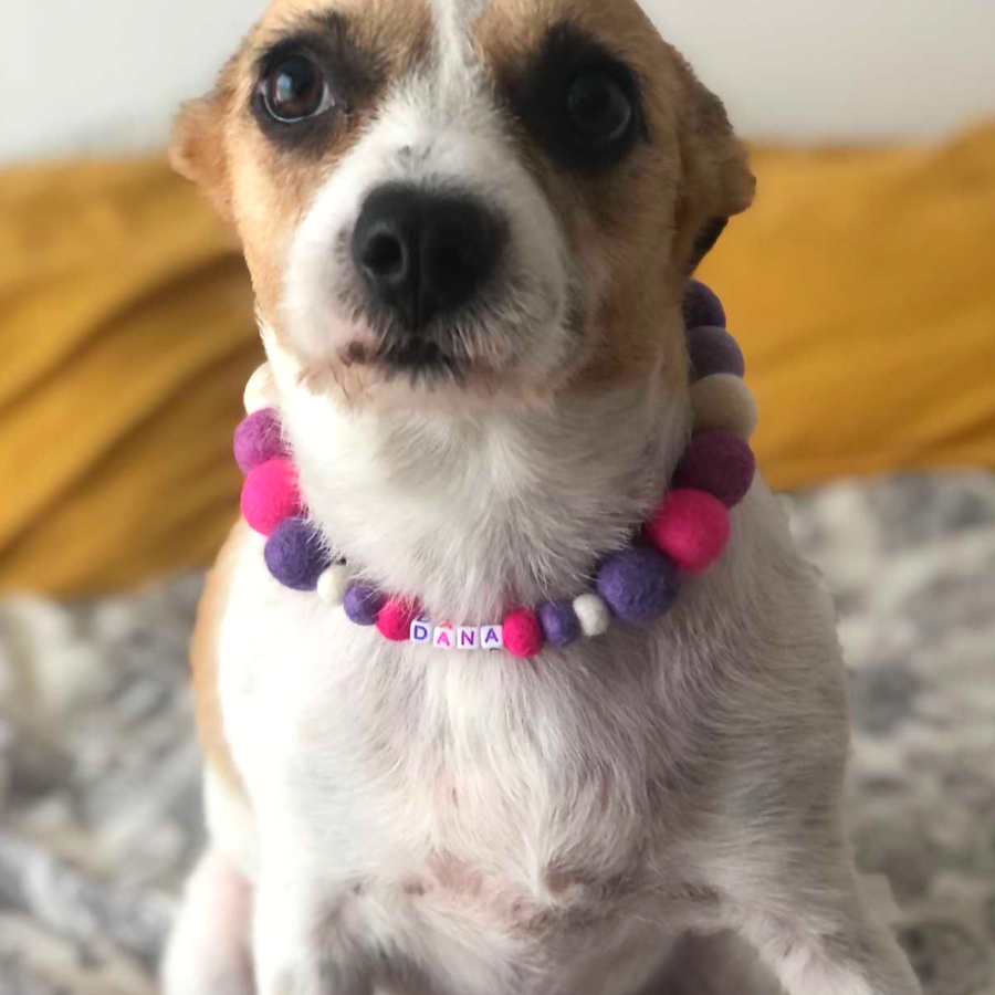 Coleira personalizada para cães com pompons