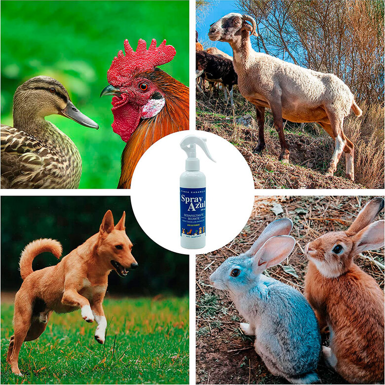 Spray azul Finca Casarejo, aroma natural, para feridas em animais.