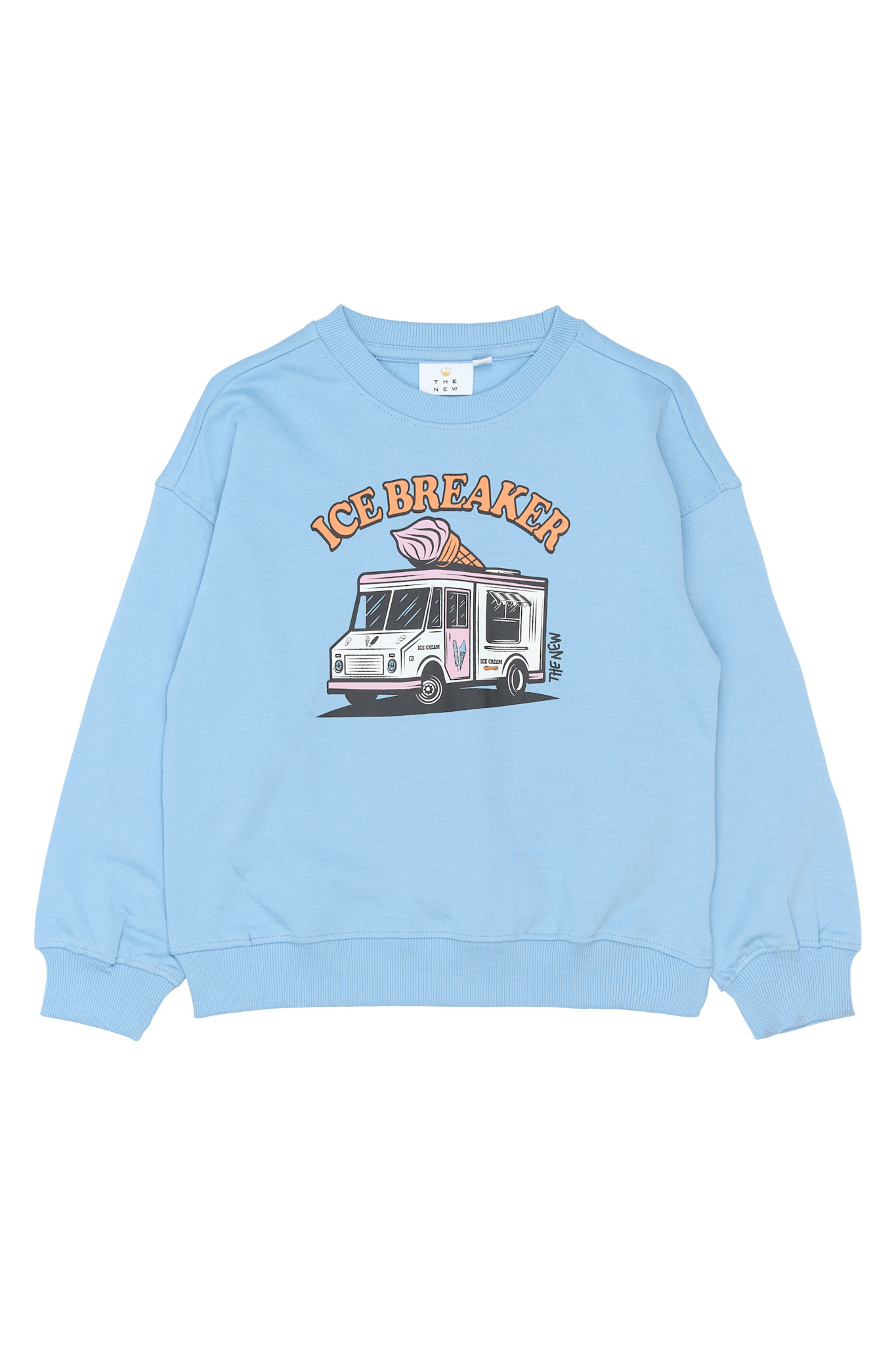 The New The New sweatshirt Stefan feather gray aop