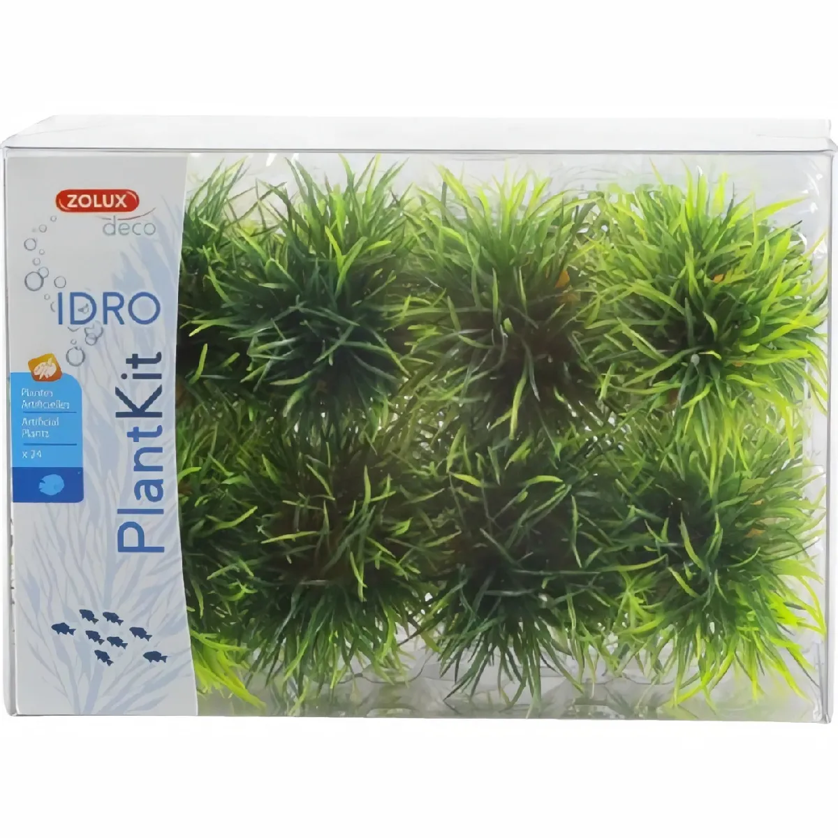Zolux Kit Plantes Gazonnantes Idro