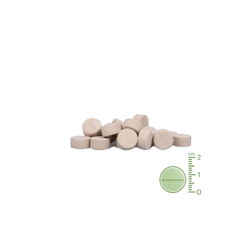 AniForte Plus Maag & Darm Tabletten