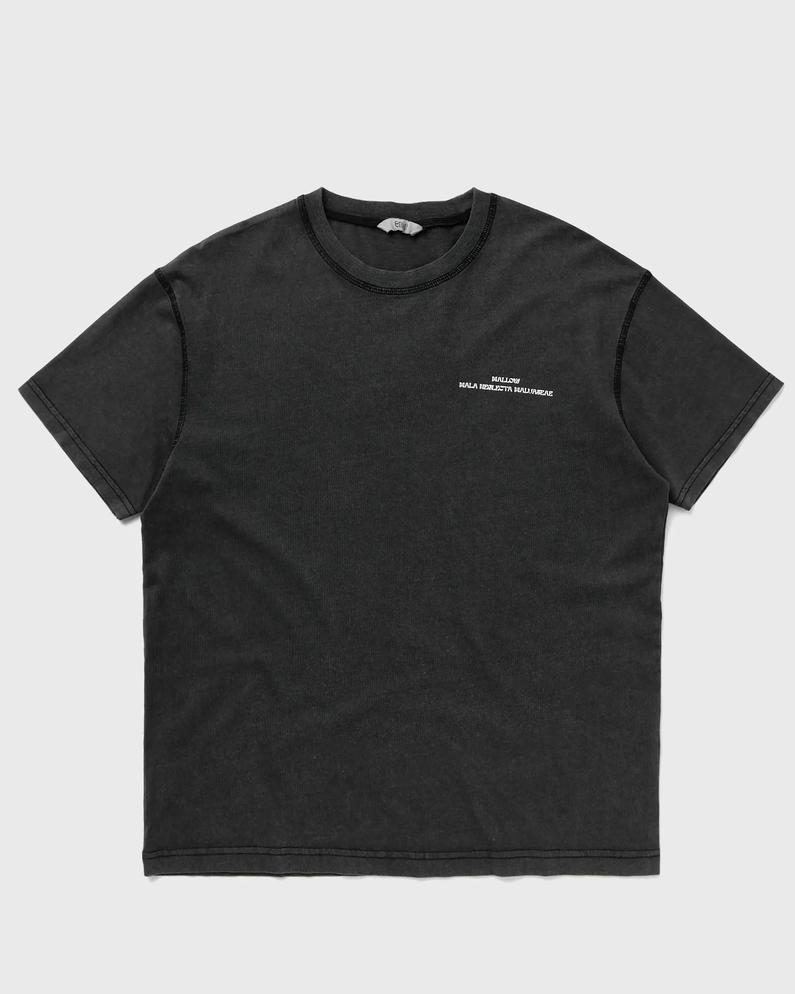 Envii ENKULLA SS TEE PRINT WASH 5310