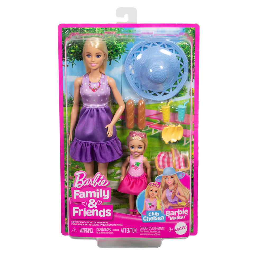 Barbie Familie & Vrienden picknickset
