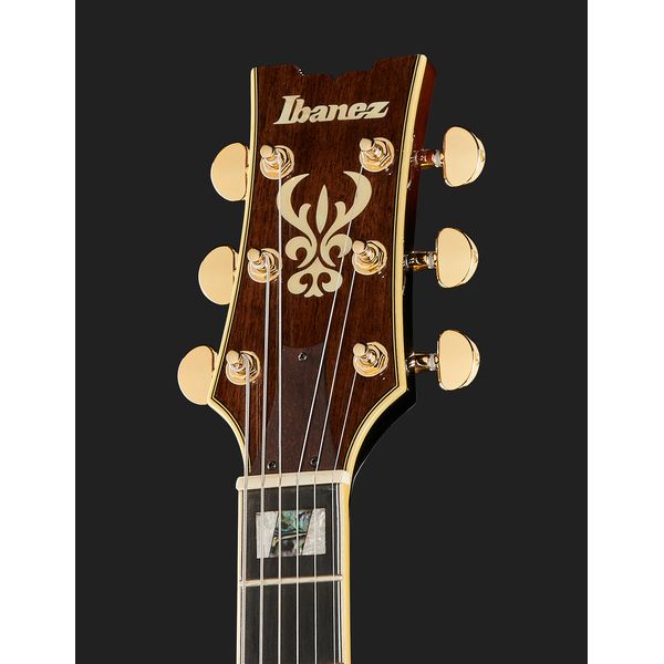 Ibanez AM153QA-DBS
