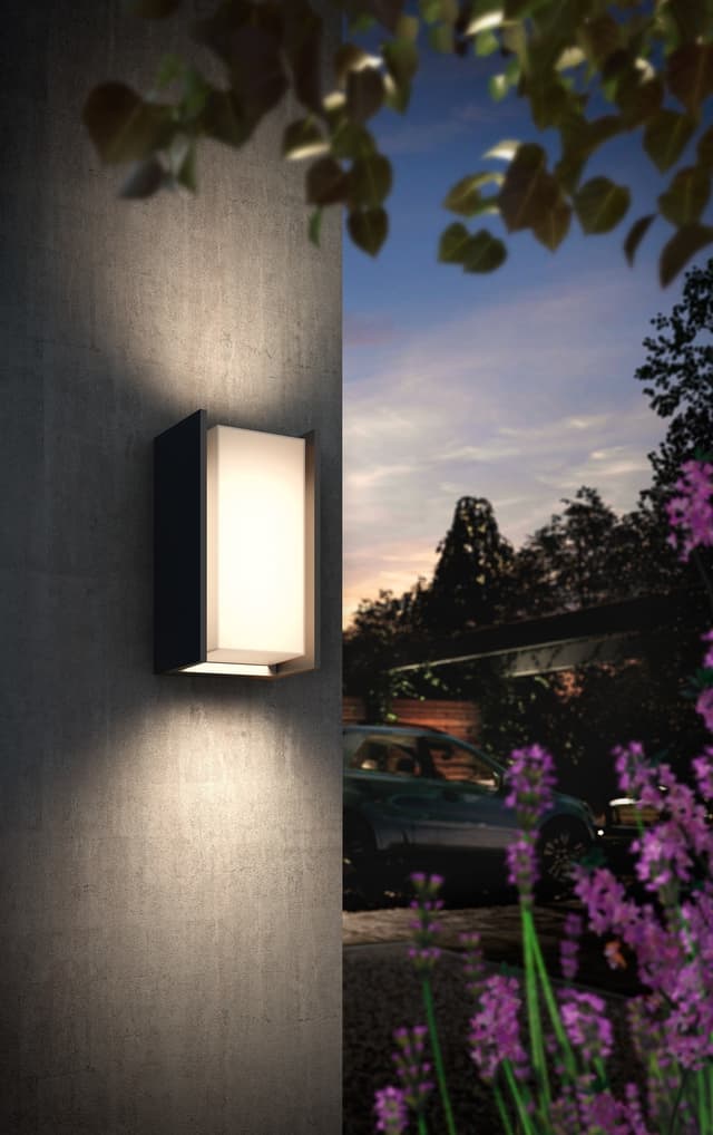 Philips Hue Turaco væglampe