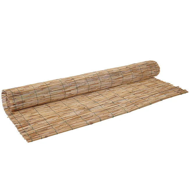 Canisse paillon roseau L500 x H120 cm