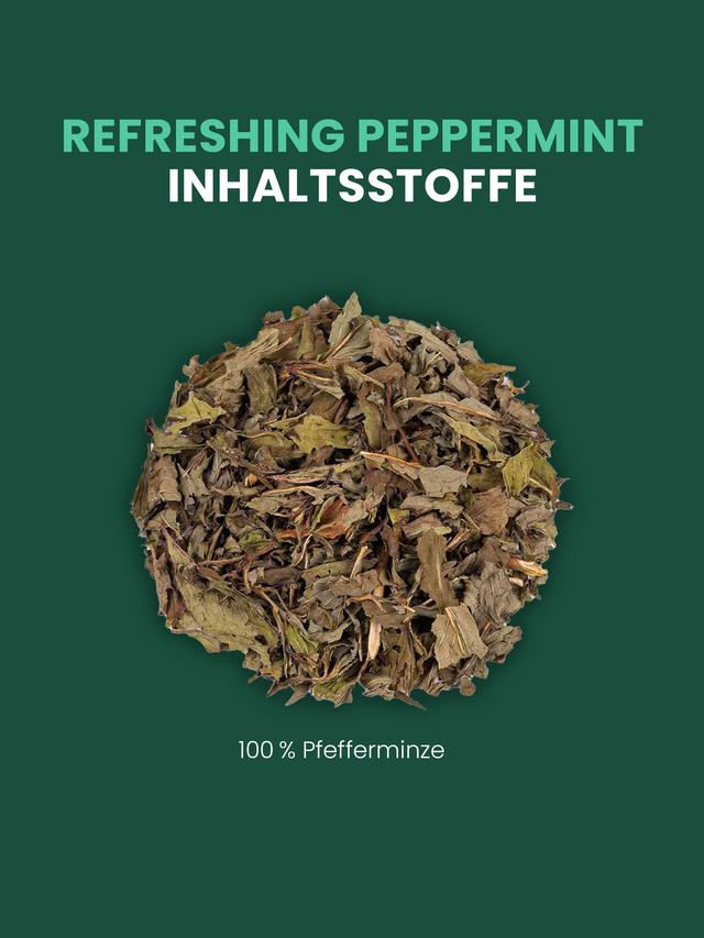 Kräutertee Pfefferminze, 3er-Set