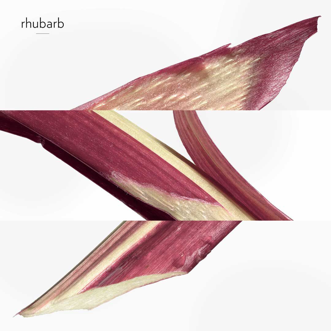 Hermès COLEÇÃO COLOGNES Eau de Rhubarbe Écalarte - 50ml