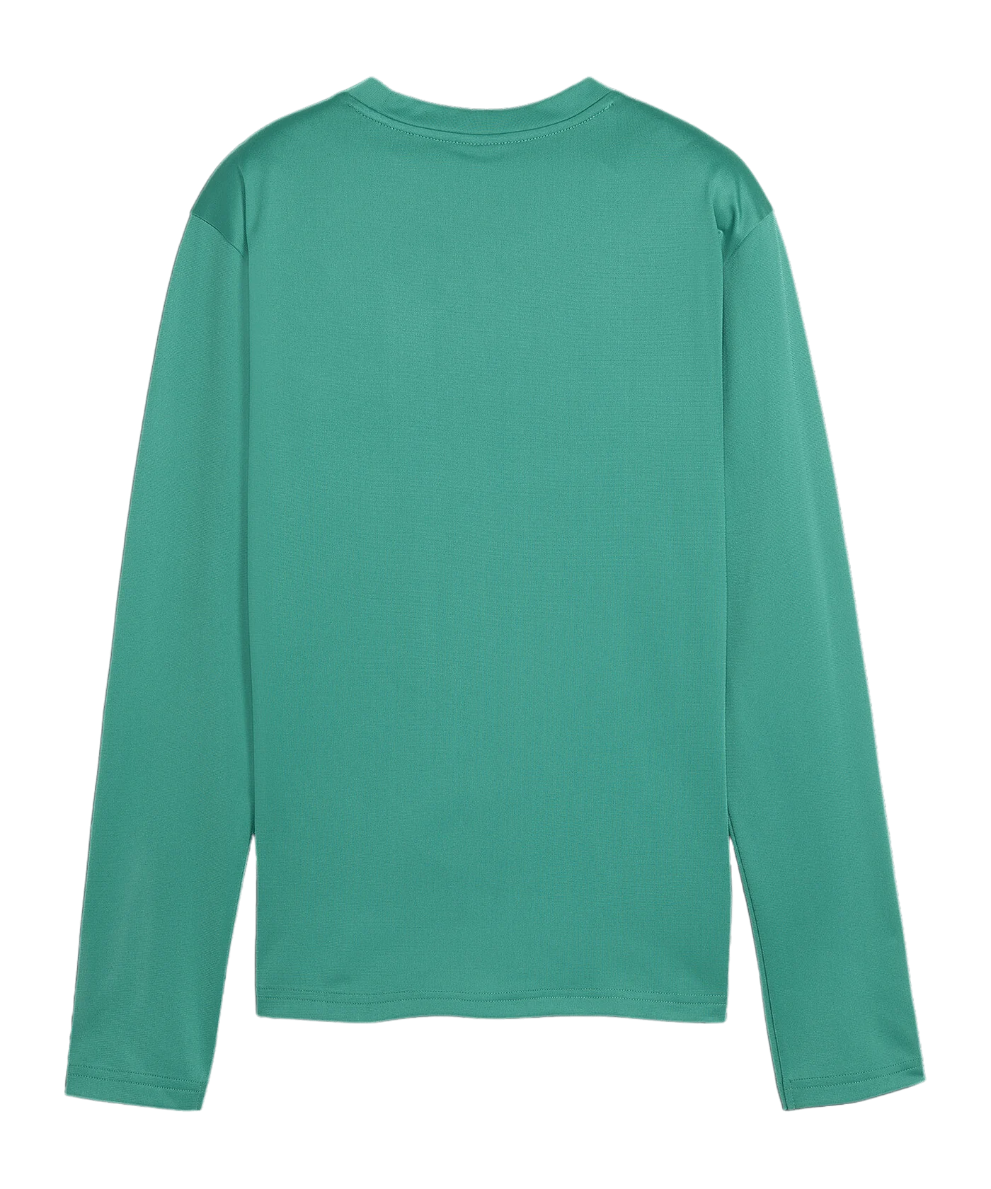 PUMA teamGOAL Training Sweatshirt Damen Grün F05