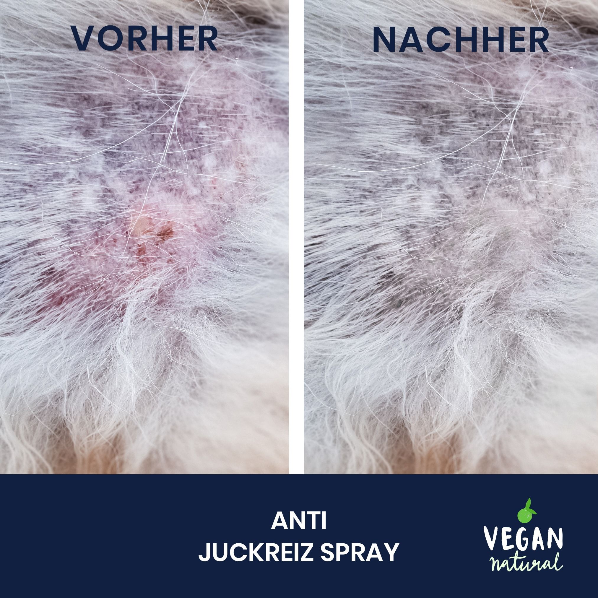 Pawlie's Juckreiz Spray und Hautpflegespray