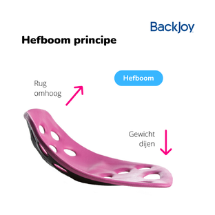 BackJoy SitSmart Posture Plus Roze 1ST