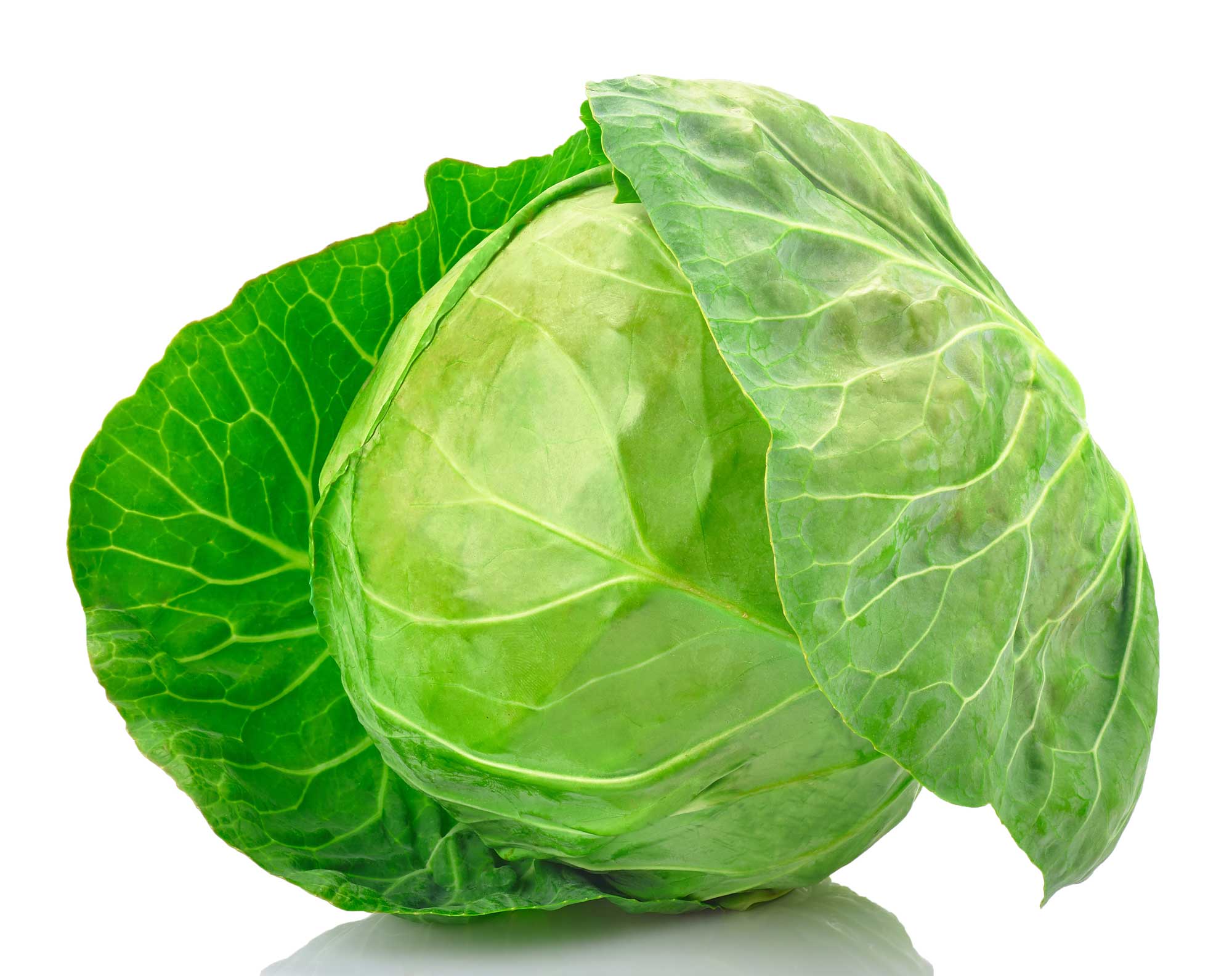 COUVE REPOLHO (L) BIOVEG BIO KG