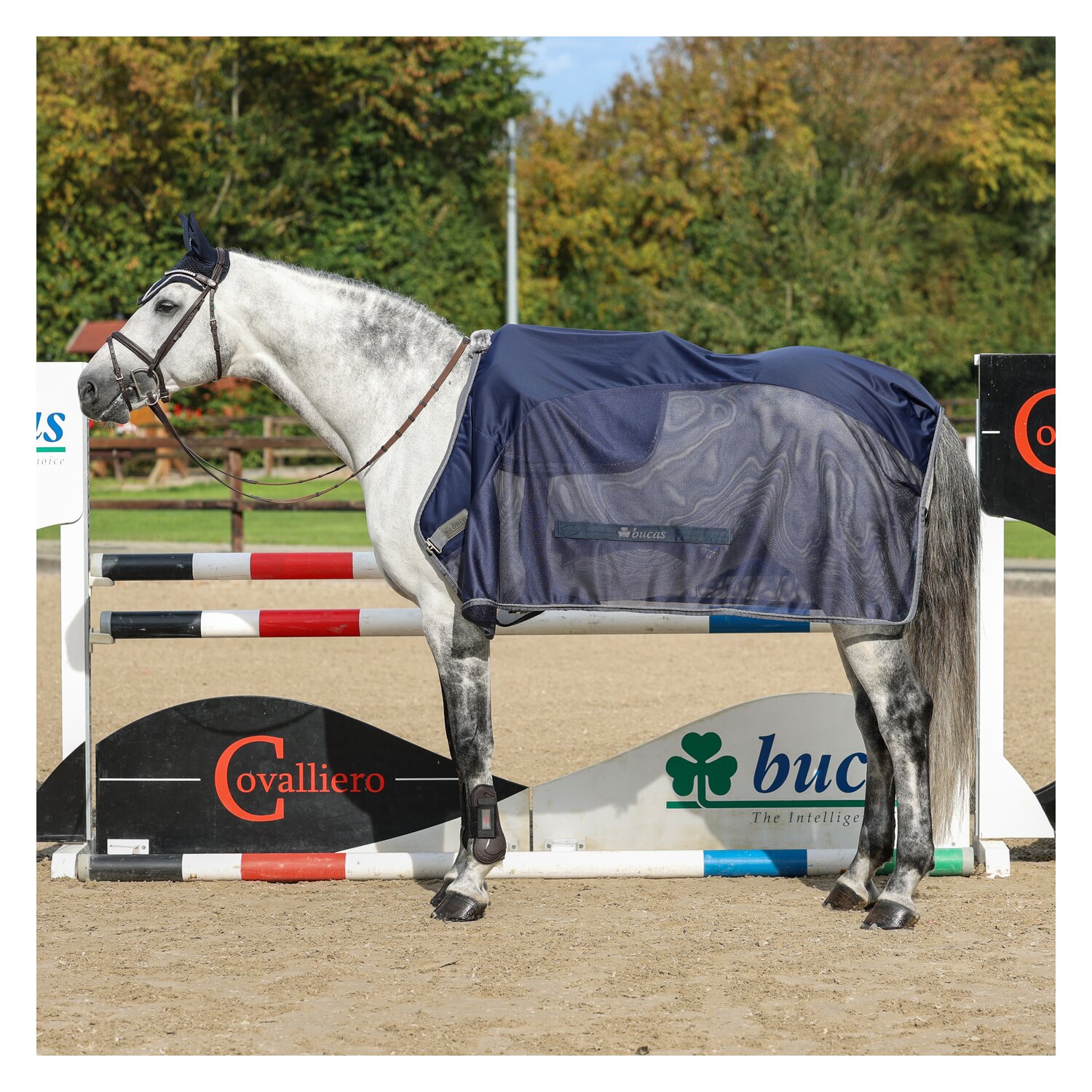 bucas Show-Line Collection Kühldecke Competition Cooler - navy/grey