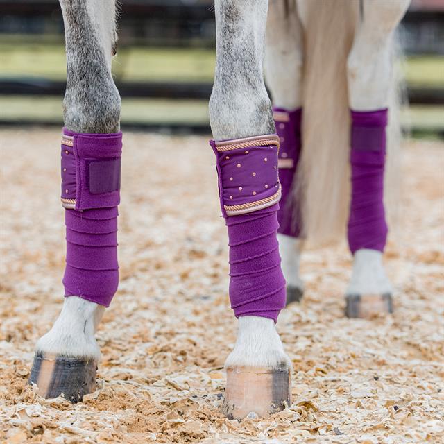 Bandages HORSEGEAR HGAurum Paars