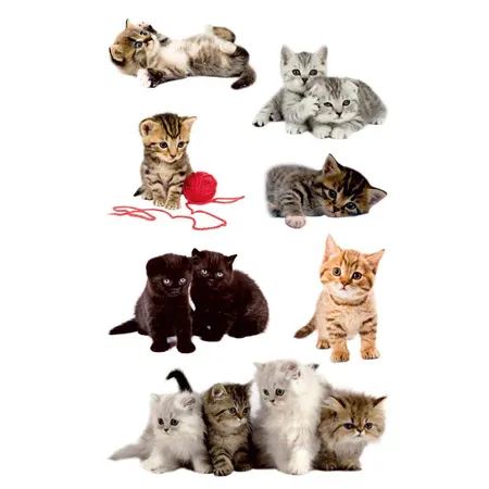 Avery Zweckform Z-Design Kinder Sticker, Katzen-Babies, 3 Bogen/21 Sticker