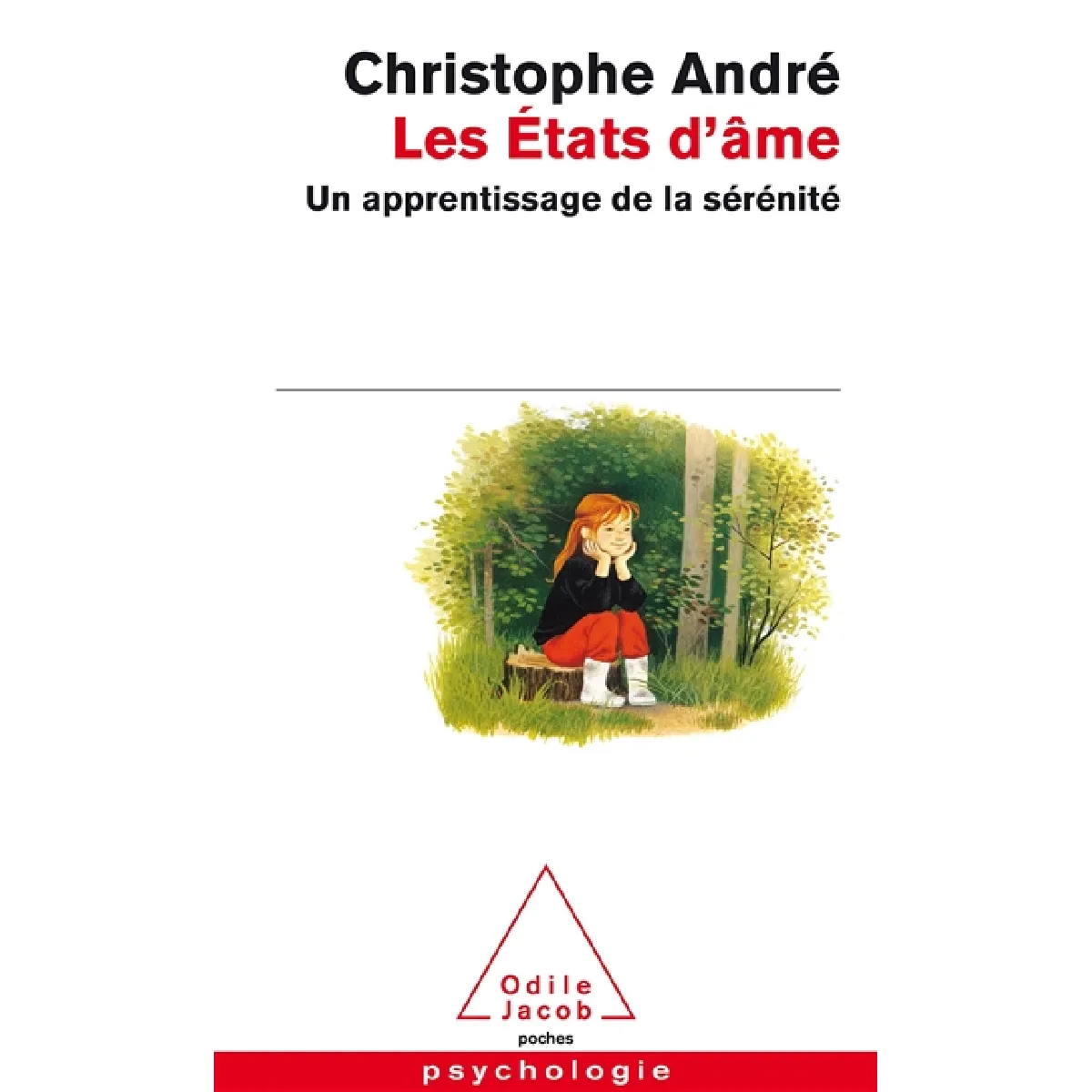 Les états d'âme : un apprentissage de la sérénité · Occasion