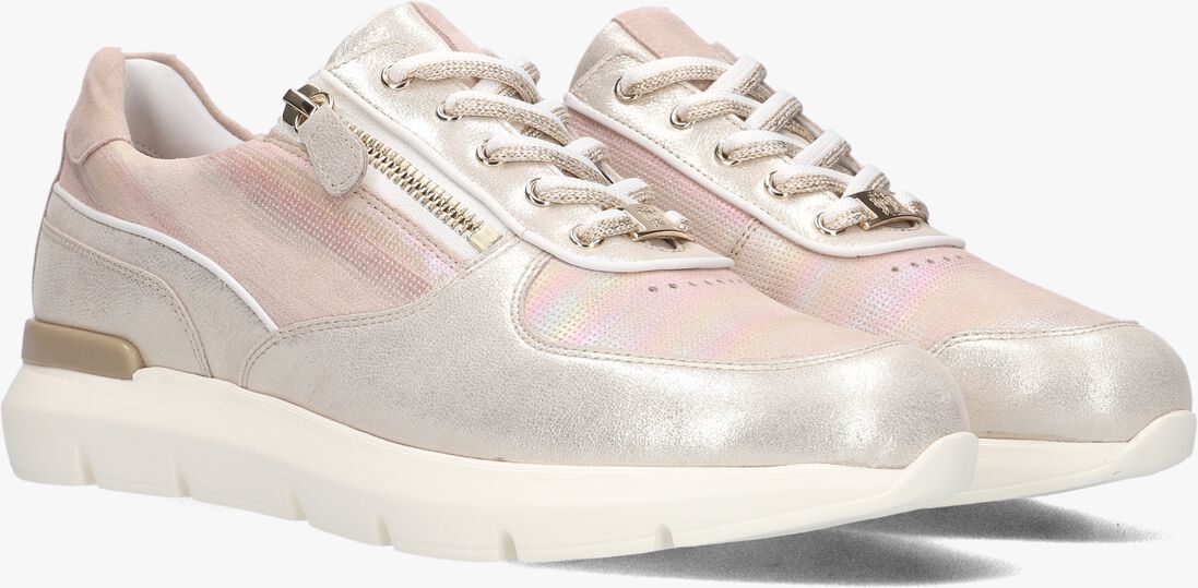 HASSIA gouden hassia lage sneakers bordeaux1