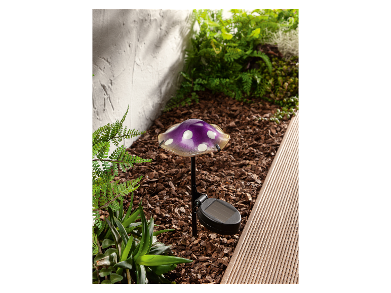 Solar LED-paddenstoel