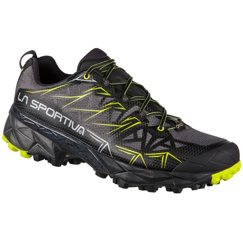 Akyra GTX - Chaussures trail homme